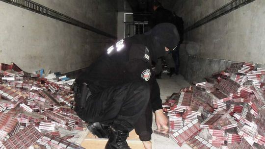 Przemytniczy rekord. 40 tys. paczek papierosów w ciężarówce-chłodni