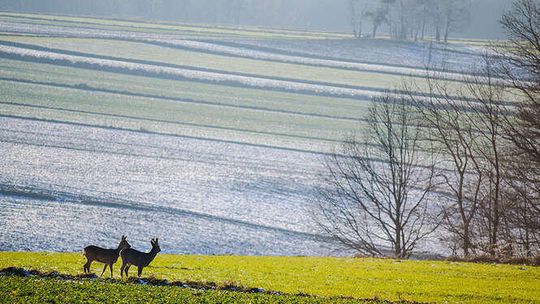 Przepiękne woj. lubelskie. Niezwykłe zdjęcia naszego Czytelnika