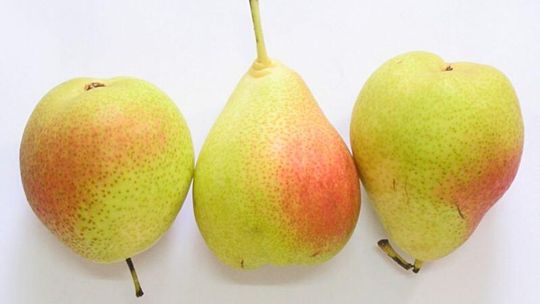 Przepis na likier gruszkowy