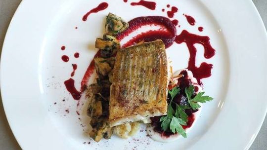 Przepis: Sandacz wigilijny