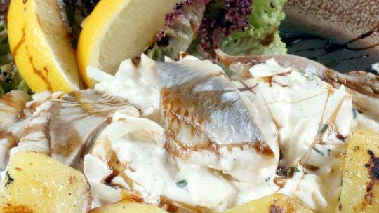 Przepisy na potrawy ze śledzia