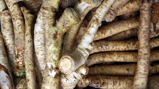 Przepisy na Wielkanoc. Jak zrobić domowy chrzan?