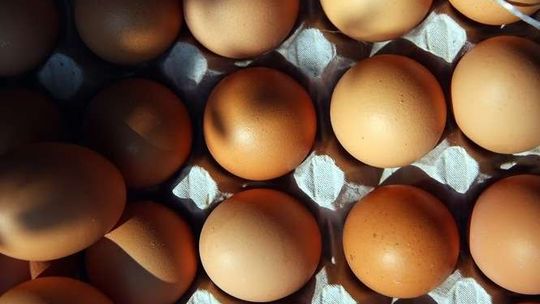 Przepisy na Wielkanoc. Jak zrobić jajka z chrzanem i faszerowane