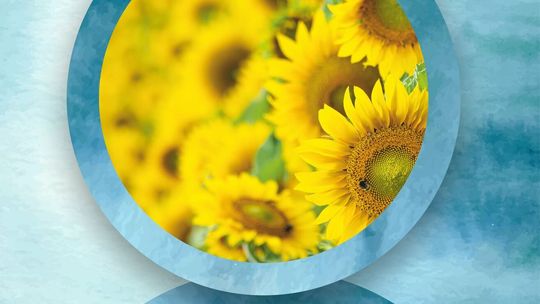 Przepracować w sobie wojnę. Krąg wsparcia w Zamojskim Domu Kultury