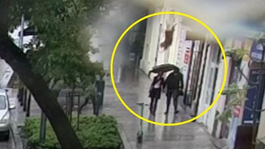 Przerażony burzą owczarek skoczył z II piętra wprost na kobietę