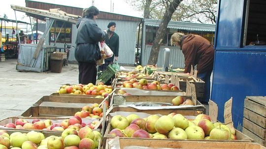 Przerzucanie jabłek przez Bug