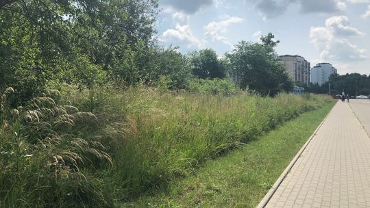 "Przestępstwa nie było". Prokuratura podjęła decyzje w sprawie sporu miasta z deweloperem