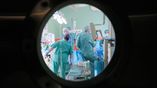 Przeszczepy ratują życie