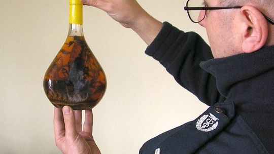 Przewoziła w pociągu butelkę alkoholu ze skorpionem i kobrą 