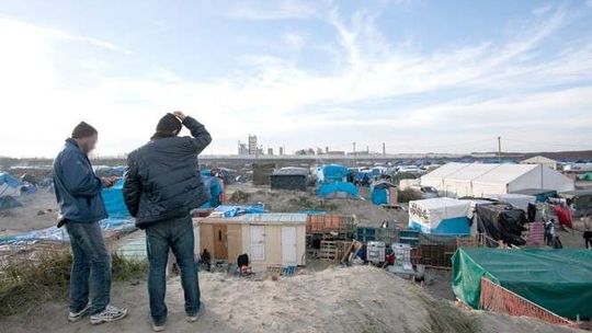 Przewoźnicy z woj. lubelskiego atakowani w Calais. Minister obiecuje pomoc