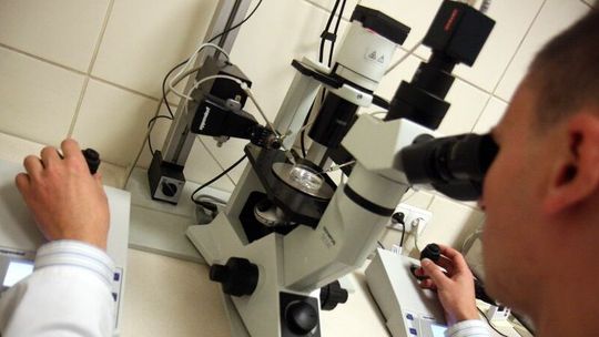Przez 10 miesięcy nic się nie działo. Radni chcą wrócić do tematu in vitro 