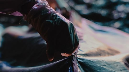 Przez 10 miesięcy ukrywała zwłoki matki. Po drugim makabrycznym odkryciu prokurator nie miał wyjścia