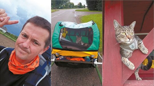 Przez Polskę idzie człowiek z kotem. Chce postawić Kingę na nogi