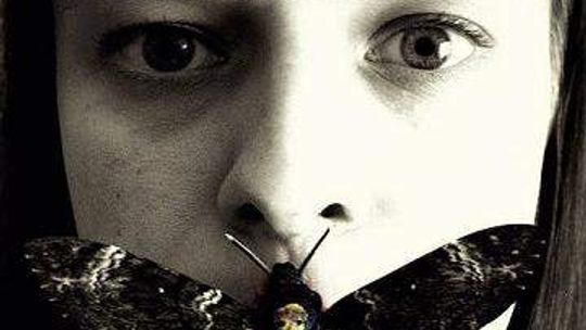 "Przez Pryzmat” radzi sobie bez Urzędu Miasta