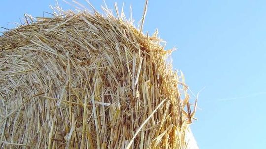 Przy Mełgiewskiej nowe kominy? Elektrownia na słomę i elektrociepłownia na paliwo ze śmieci