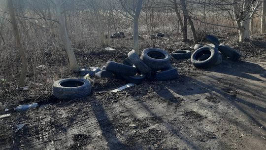 Wiosna, która w ostatnich dniach na dobre zawitała do naszego otoczenia, odsłoniła również to, co przez kilka miesięcy skutecznie ukrywały późna jesień i zima. Topniejący śnieg i znikająca z przydroży szarość ujawniły niestety nieprzyjemny widok – dziesiątki pustych butelek z tworzywa sztucznego.