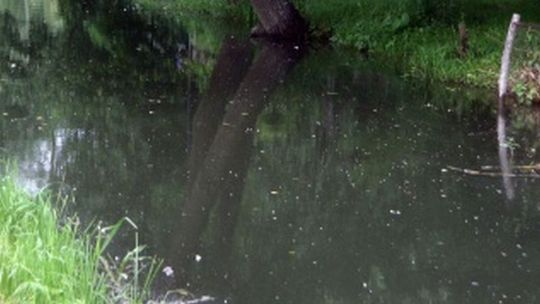 Przybierają rzeki na Lubelszczyźnie. Krzna przekroczyła stan alarmowy