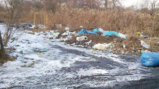 Przybywa śmieci na ul. Świętochowskiego w Lublinie