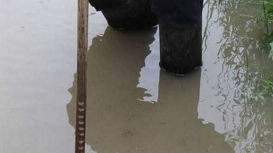 Przybywa wody w rzekach