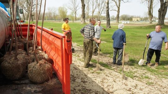 Przyjedź sadzić drzewa w Stężycy 