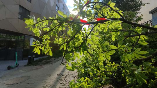 Według synoptyka Instytutu Meteorologii i Gospodarki Wodnej w niedzielę na wschodzie wystąpi zachmurzenie z przelotnymi opadami deszczu oraz z silnym, porywistym wiatrem. Miejscami także opady deszczu ze śniegiem i samego śniegu. Możliwe krótkotrwałe burze.