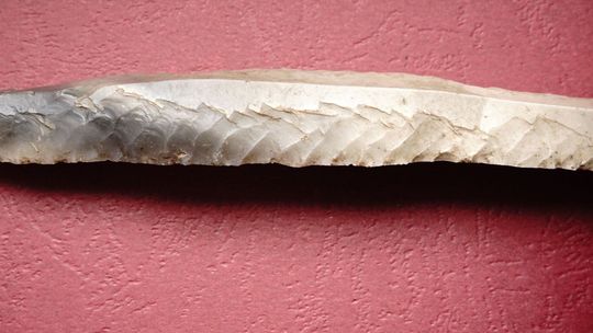 Przypadkowo znaleziony przedmiot okazał się cennym artefaktem 