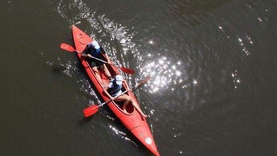 Przyroda z kajaka. MOSiR zaprasza na trzydniowy spływ Iłżanką i Wisłą