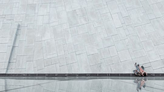 Przyrodniczka: wybetonowane miasto jest nieludzkie