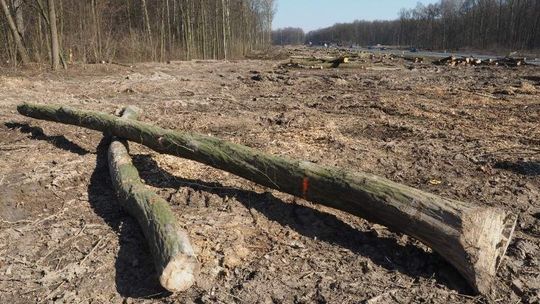 Przyspieszają prace na budowie zachodniej obwodnicy Lublina