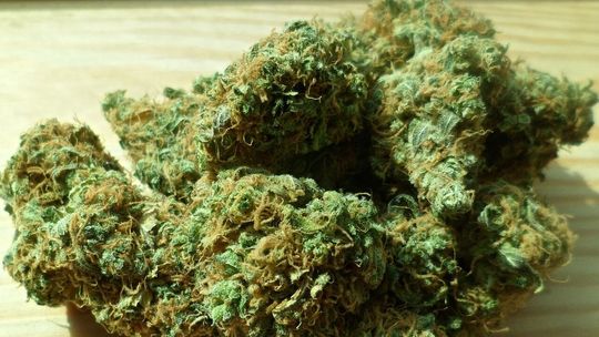 Przyszła na komisariat… z narkotykami