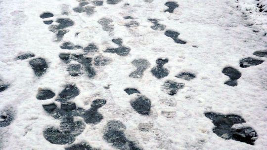 Przyszła zima. Zamość pod śniegiem (zdjęcia)