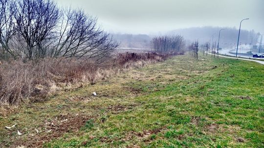 Przyszłość górek czechowskich po uzasadnieniu sądu. Wyjaśniamy