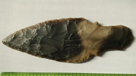 Przywieźli jej ziemię, znalazła w niej cenny artefakt