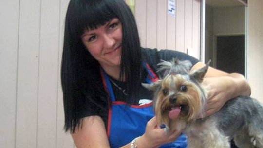 Psi fryzjer: Przed urlopem psy idą do salonu piękności