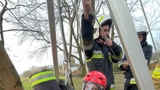 Psi pech w piątek, trzynastego i o trzynastej