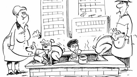 Psia toaleta pod balkonem