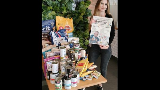 Psy i koty czekają na dobrą karmę. Wkrótce finał akcji