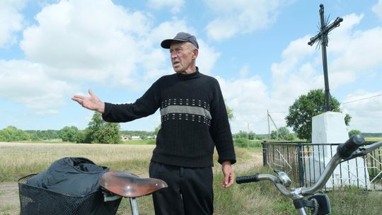 Psy rozszarpały człowieka. Na drzewie zostały tylko strzępy koszuli