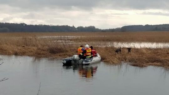 Psy wpadły w pułapkę. Potrzebna była pomoc strażaków i pracownika schroniska