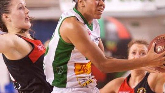 Pszczółka AZS UMCS Lublin dzisiaj gra ze Ślęzą Wrocław