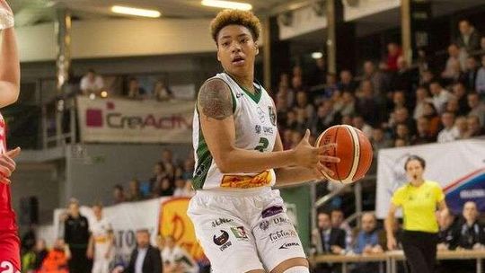 Pszczółka gra o awans