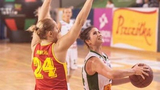 Pszczółka Polski Cukier AZS UMCS dzisiaj gra z MKK Siedlce