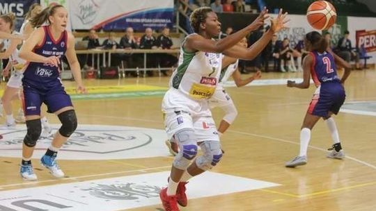 Pszczółki grają w Krakowie z zespołem swojego dawnego trenera