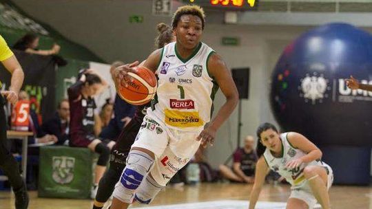 Pszczółki pozbawione złudzeń w Polkowicach