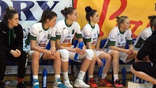 Pszczółki rozjechały się na urlopy. Wrócą w Nowy Rok