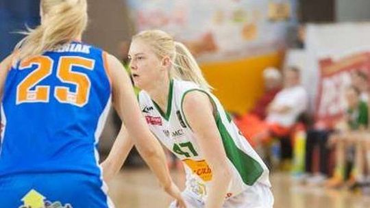 Pszczółki wlatują na właściwe tory