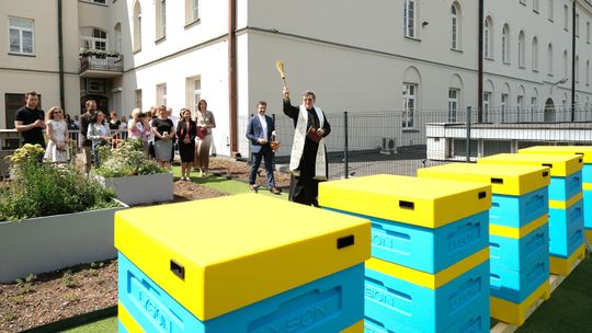 Pszczoły zamieszkały na KUL 