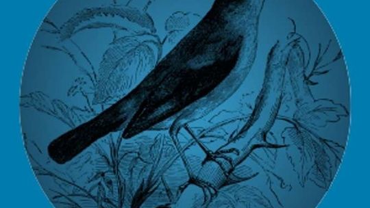 "Ptasie Radio" na koniec sezonu warsztatów MAM DEDEK!