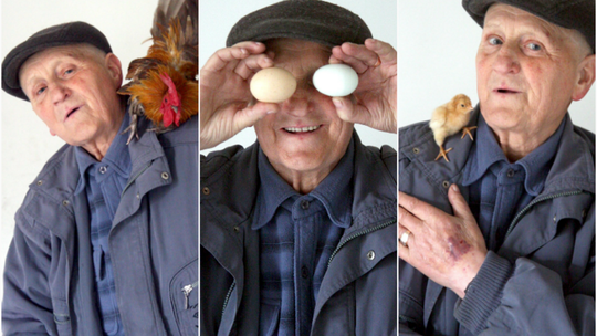 Puchate, bojowe i te, co znoszą zielone jajka