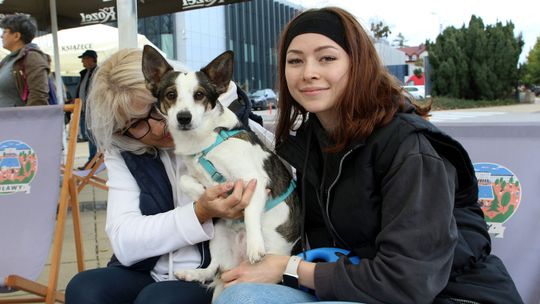 Puławianie wybierają zwierzęta, zdrowie i bezpieczeństwo